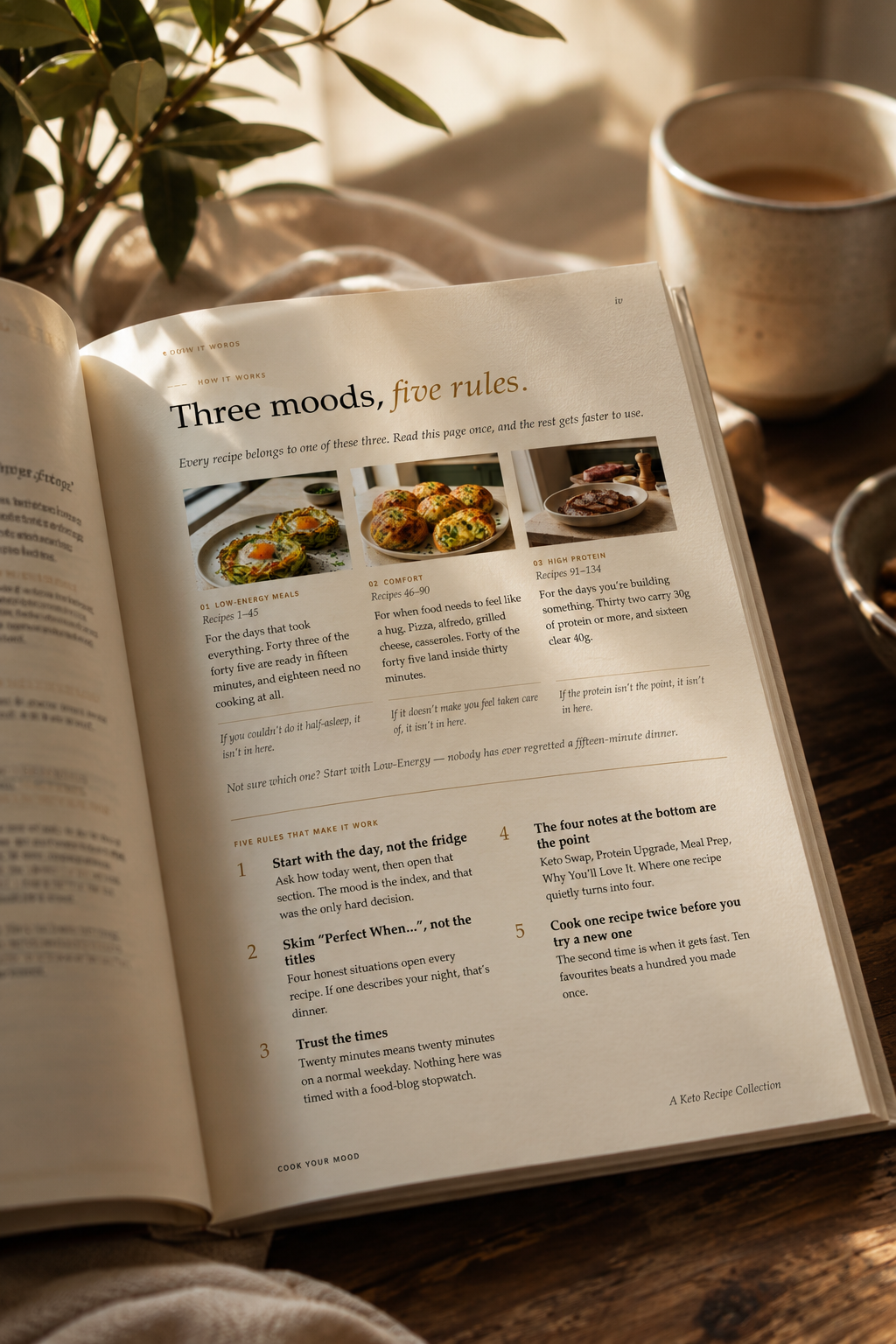 Cook Your Mood open at the mood index, three keto dinner cards for low energy, comfort and high protein